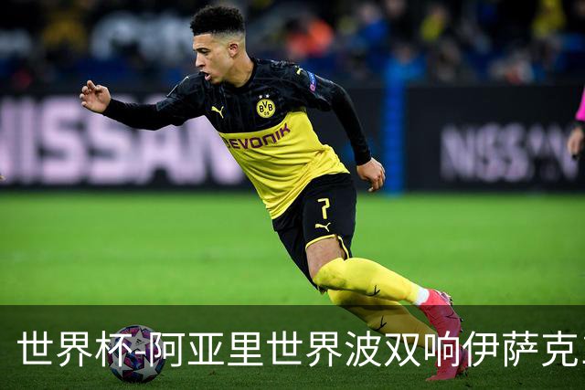 世界杯-阿亚里世界波双响伊萨克1射2传 瑞典5-1突尼斯